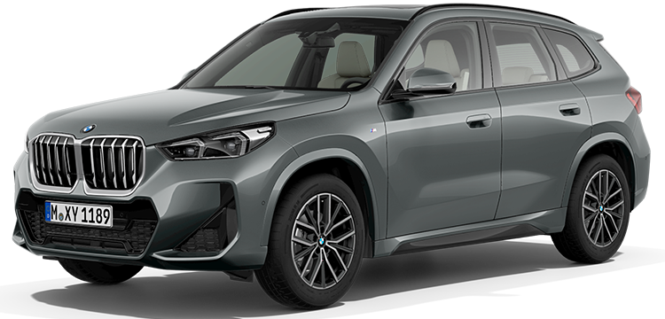 The BMW X1